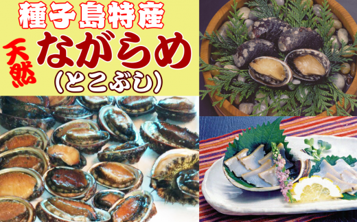 [ 数量限定 ]種子島特産 ナガラメ(とこぶし)300g NFN140 [400pt] // 高級食材 トコブシ とこぶし ながらめ ナガラメ