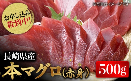 22年3月から順次配送 人気返礼品が復活 長崎県産 本マグロ 赤身 約500g 大村湾漁業協同組合 Bak011 長崎県東彼杵町 ふるさと納税 ふるさとチョイス