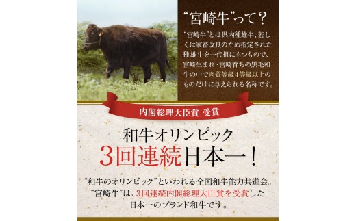 Ab69 宮崎牛 豚 切り落とし焼肉セット 合計1 5kg 宮崎県都農町 ふるさと納税 ふるさとチョイス