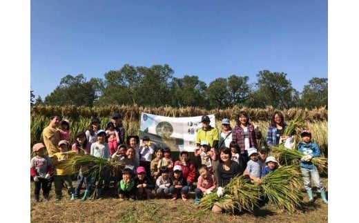 【10/5開催】稲刈体験 ＆ 精米3㎏ 1000788 - 埼玉県宮代町
