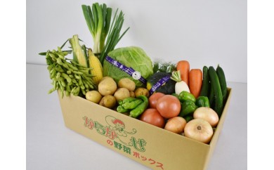 伊勢崎産<採れたて!店長厳選!>新鮮野菜詰合せ