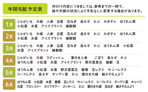 J0436旬の野菜セットsサイズ ６か月連続お届け定期便 まごころ ふれあい農園 長野県長野市 ふるさと納税 ふるさとチョイス