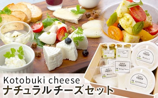 901-1 kotobuki cheese ナチュラルチーズセット