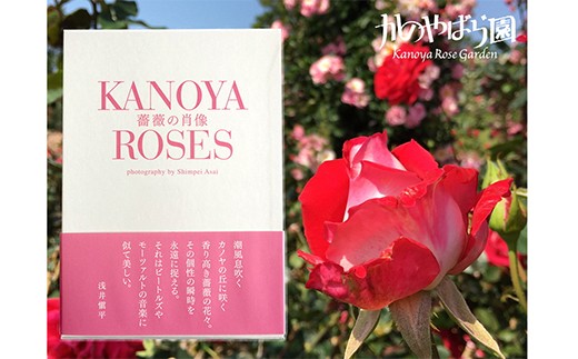 1031 浅井愼平写真集 薔薇の肖像 Kanoya Roses 鹿児島県鹿屋市 ふるさと納税 ふるさとチョイス