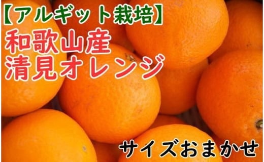 アルギット栽培 和歌山産清見オレンジ約5kg M 3lサイズおまかせ 和歌山県海南市 ふるさと納税 ふるさとチョイス