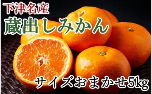 産直 下津蔵出しみかん約5kg S Lサイズおまかせ 和歌山県海南市 ふるさと納税 ふるさとチョイス