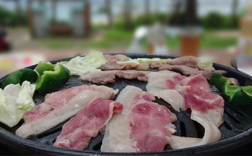 BBQに最適!