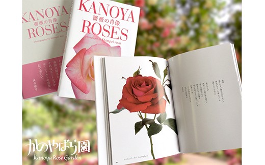 1031 浅井愼平写真集 薔薇の肖像 Kanoya Roses 鹿児島県鹿屋市 ふるさと納税 ふるさとチョイス