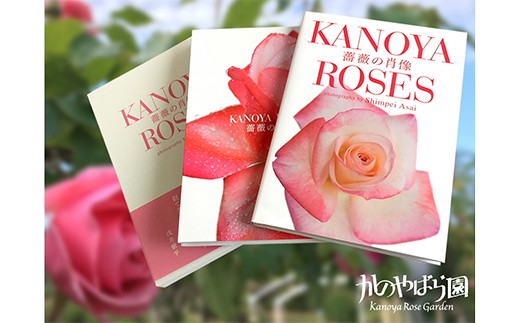 1031 浅井愼平写真集 薔薇の肖像 Kanoya Roses 鹿児島県鹿屋市 ふるさと納税 ふるさとチョイス