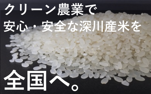 北海道深川産米 ふっくりんこ 10kg 5kg 2袋セット 北海道深川市 ふるさと納税 ふるさとチョイス