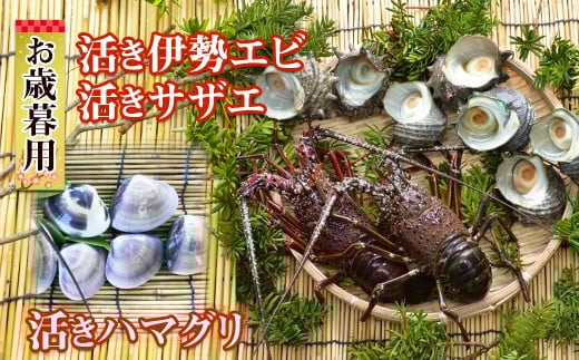 伊勢エビ・サザエ・ハマグリ!豪華海の幸セットをお届けします!