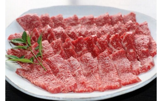 肥後のあか牛 焼肉用 500g 熊本県産 和牛 G-33