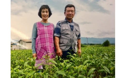 【熊本県相良村産】玉緑茶 3種ブレンド3本セット 箱入り  