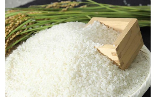 高本さんちのコウノトリ育む農法(農薬不使用)のお米