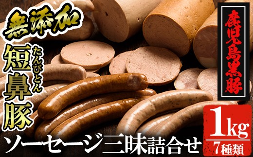 a042 鹿児島黒豚「短鼻豚」無添加ハムソーセージ三昧詰め合わせ総合計1kg【鹿児島ますや】姶良市 国産 ウィンナー 無添加 ウインナー ソーセージ フランクフルト ハム 冷凍 黒豚 豚肉 おかず