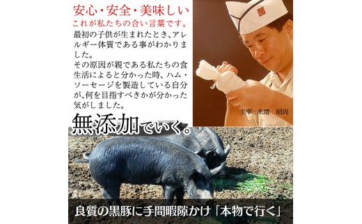 No 126 鹿児島黒豚 短鼻豚 定期便 4ヶ月コース 豚肉しゃぶしゃぶ用 炭火焼肉 豚モモ肉 餃子 ハム ソーセージなど詰め合わせた黒豚肉定期便 鹿児島ますや 鹿児島県姶良市 ふるさと納税 ふるさとチョイス