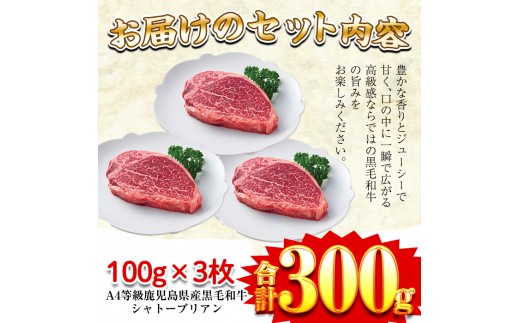 a326 A4等級鹿児島県産黒毛和牛！希少な牛肉！シャトーブリアン 100g×3