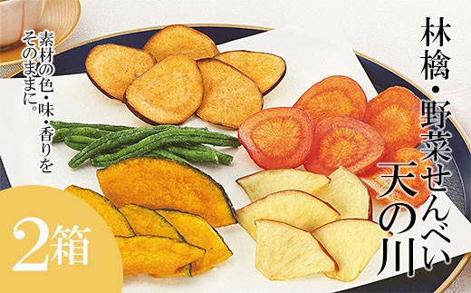 林檎・野菜せんべい 天の川 2箱 FY19-495