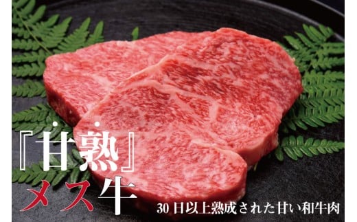 飛騨牛 リブ芯ロースステーキ 200g×3 牛肉 和牛 熟成肉『山勇牛』