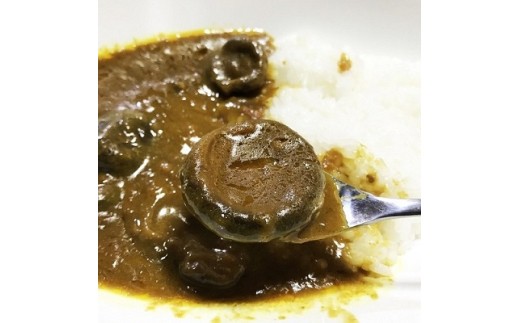 ご当地カレー 豊後きのこカレー 6パック 大分県日出町 ふるさと納税 ふるさとチョイス