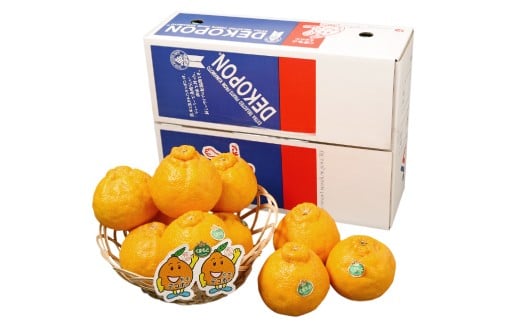 熊本県宇城市産 デコポン 4L～Sサイズ 約2.5kg でこぽん 不知火 果物 柑橘