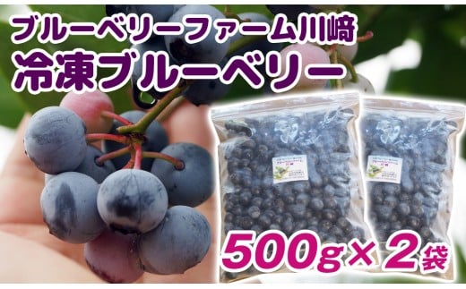 冷凍ブルーベリー1kg（500g×2）ブルーベリーファーム川﨑 個数限定【先行予約】＜1.2-58＞