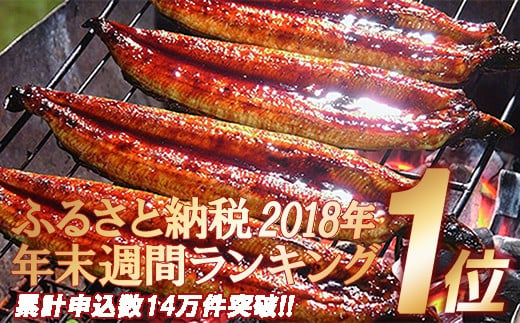 〈鰻大好き定期便〉うなぎ蒲焼き≪大≫（160g x 3本）6カ月セット Sesu-05 冷凍 蒲焼 鰻 ウナギ うなぎ 蒲焼き 肉厚 土用の丑の日 本格うなぎ 821569 - 高知県四万十町