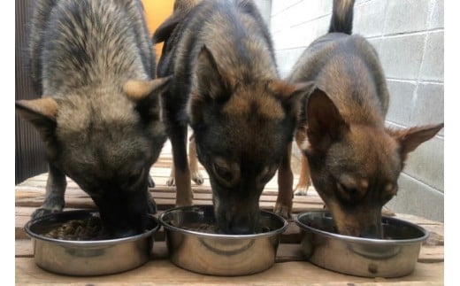 広島県神石高原町のふるさと納税で選べるお礼の品一覧 ふるさとチョイス