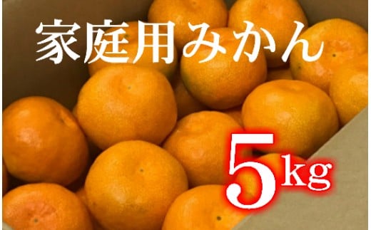 山のてっぺん間城農園のみかん (家庭用) 5kg - フルーツ 柑橘 みかん ms-0042 425450 - 高知県香南市