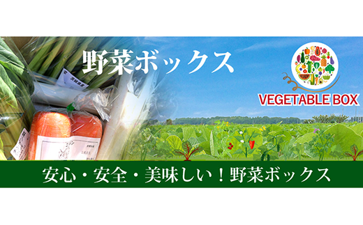 20-07【6ヵ月連続お届け】阿見町産野菜ボックス（7～8品）