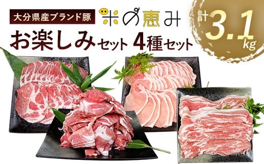 大分県産 ブランド豚 「米の恵み」お楽しみセット 計3.1kg 豚肉