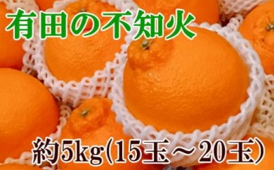 【濃厚】有田の不知火約5kg(15~20玉)★2023年2月中旬より順次出荷