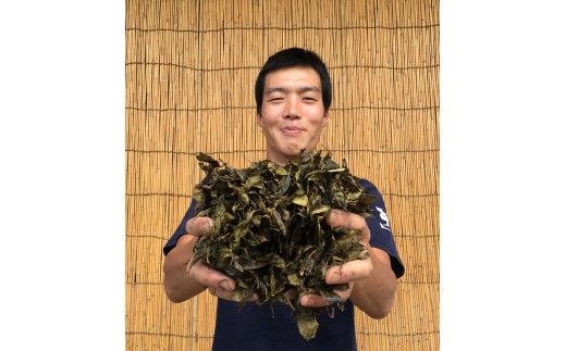 百野大地です。私が、伝統製法を守りながら心を込めてつくっています。