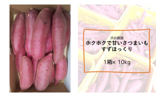 ホクホクで甘いさつまいも すずほっくり 10kg 茨城県行方市 ふるさと納税 ふるさとチョイス