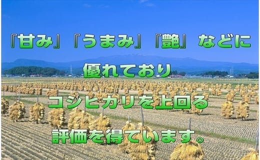 アイテムID:319915の画像3枚目