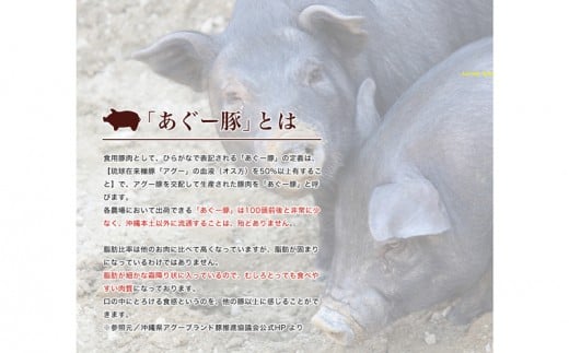黒毛和牛とあぐー豚の贅沢ハンバーグ 8個入り - 沖縄県うるま市 