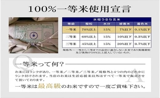 令和2年産 宮城県 栗原産 だて正夢 一等米限定 白米 5kg 宮城県栗原市 ふるさと納税 ふるさとチョイス