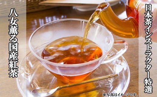 【日本茶インストラクター特選】八女薫る国産紅茶（2g×15個入り2袋） N9 583499 - 福岡県川崎町