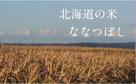 【2024年度米】山内農園　ななつぼし　10kg【精米】 381073 - 北海道中富良野町