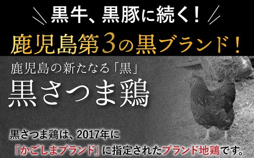 全12回 上撰 黒の極み定期便 Kuro St 鹿児島県南九州市 ふるさと納税 ふるさとチョイス