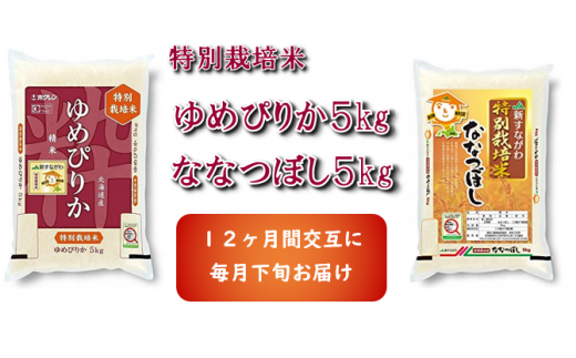 Ja新すながわ産 特栽米ゆめぴりか 特栽米ななつぼし定期便 ５kg 12ヶ月 北海道砂川市 ふるさと納税 ふるさとチョイス