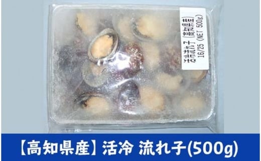 活冷流れ子 とこぶし トコブシ ながれこ ナガレコ 500g 貝 珍味活冷流れ子 とこぶし トコブシ ながれこ ナガレコ 500g 貝 珍味 高知県高知市 ふるさと納税 ふるさとチョイス