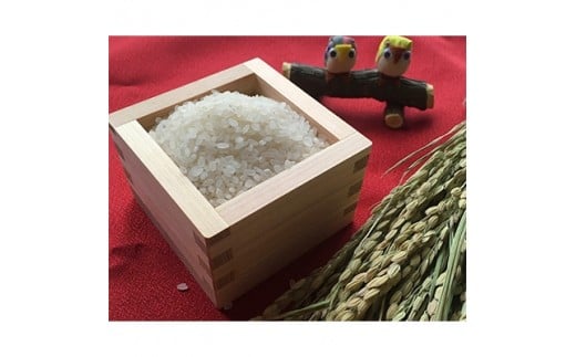 奈良県大和高田市産ヒノヒカリ1kg×3 合計3kg【1087759】 315660 - 奈良県大和高田市