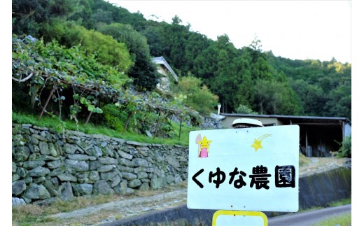 くゆな農園は、吉野川市美郷の標高約４００ｍ、深い山あいに位置しています。