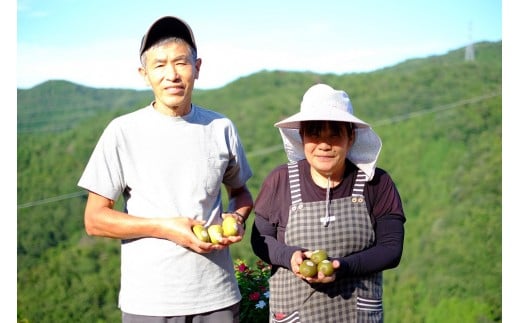 くゆな農園を営まれる上野さんご夫妻。美味しい果物作りに真剣に取り組まれています。