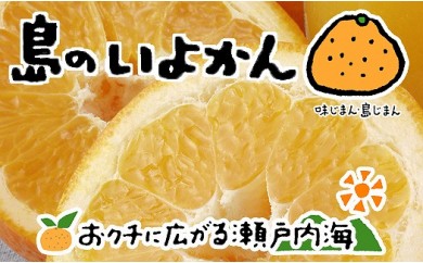 希望の島 伊予柑 4kg 愛媛 中島産