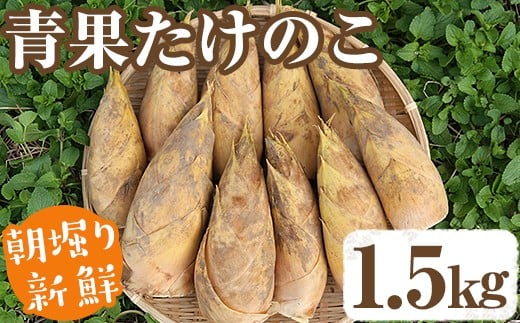 【土日祝着】＜先行予約受付中！2026年2月下旬以降順次発送予定＞朝堀り青果たけのこ(約1.5kg) 国産 新鮮 タケノコ 青果 竹の子 筍 野菜 春 旬 期間限定【上野食品】akn008-04-B
