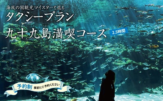 Y808 九十九島満喫コース2 5時間1名 2名様 長崎県佐世保市 ふるさと納税 ふるさとチョイス