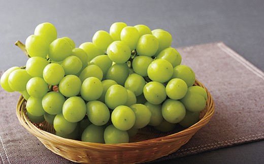 おすすめ ぶどうのふるさと納税を探す ふるさとチョイス おすすめ ぶどうのふるさと納税を探す ふるさとチョイス
