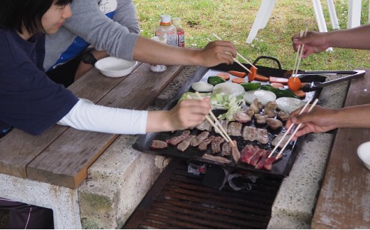 手ぶらでバーベキュー 大人1名様分 54 0228 福井県大野市 ふるさと納税 ふるさとチョイス